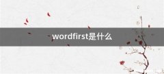 wordfirst是什么
