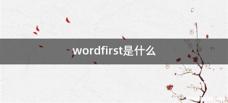 wordfirst是什么