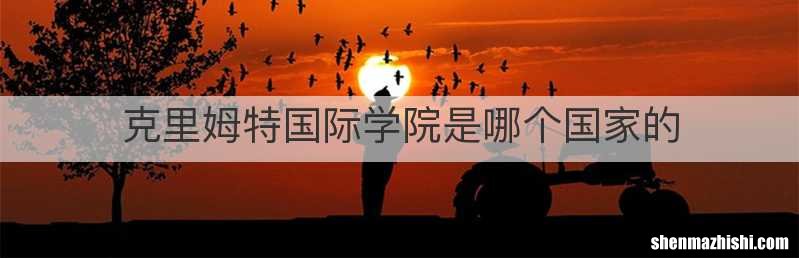 克里姆特国际学院是哪个国家的