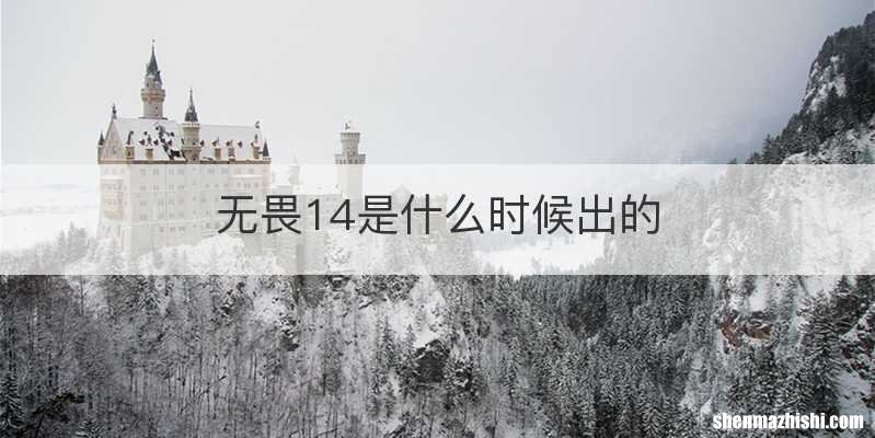 无畏14是什么时候出的