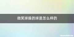微笑球操的球是怎么样的