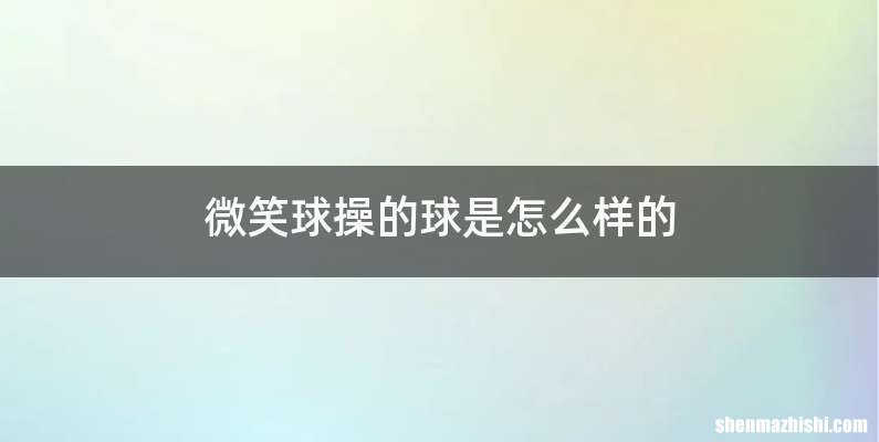 微笑球操的球是怎么样的