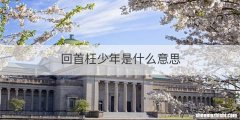回首枉少年是什么意思