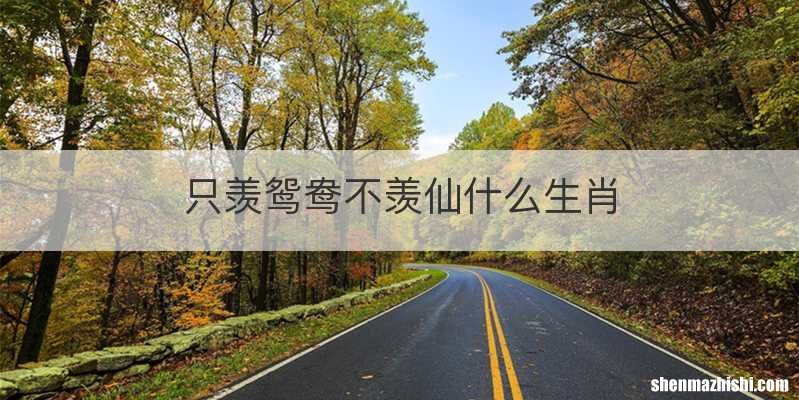 只羡鸳鸯不羡仙什么生肖