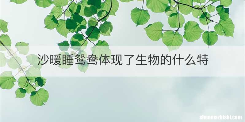 沙暖睡鸳鸯体现了生物的什么特