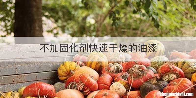 不加固化剂快速干燥的油漆