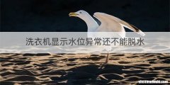 洗衣机显示水位异常还不能脱水