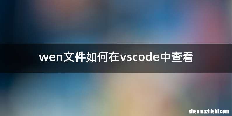 wen文件如何在vscode中查看