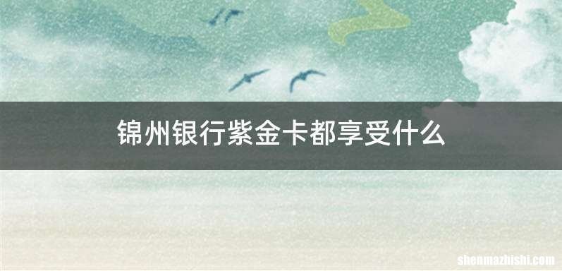 锦州银行紫金卡都享受什么