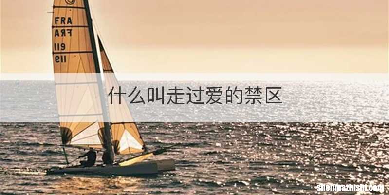 什么叫走过爱的禁区