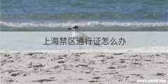 上海禁区通行证怎么办