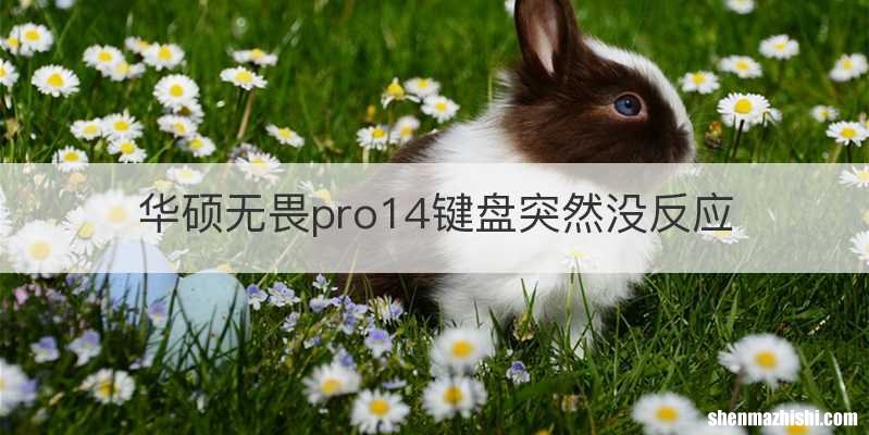 华硕无畏pro14键盘突然没反应