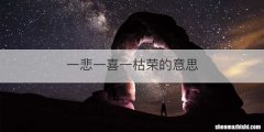 一悲一喜一枯荣的意思