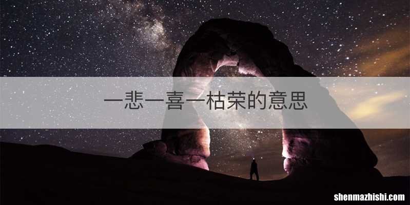 一悲一喜一枯荣的意思