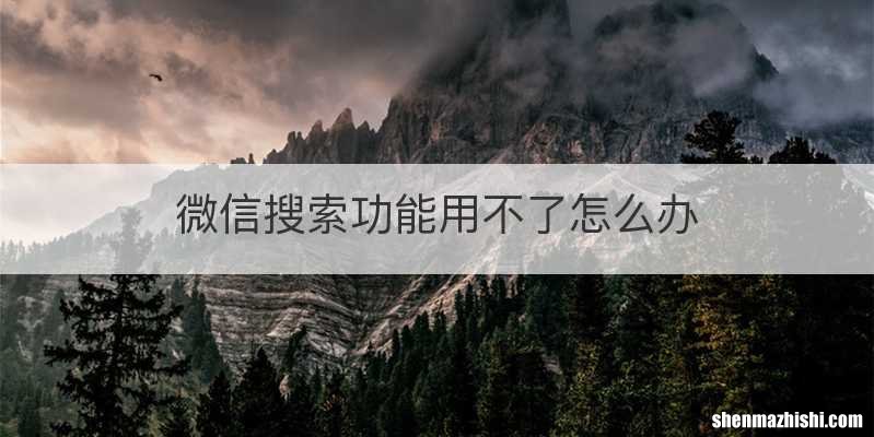微信搜索功能用不了怎么办