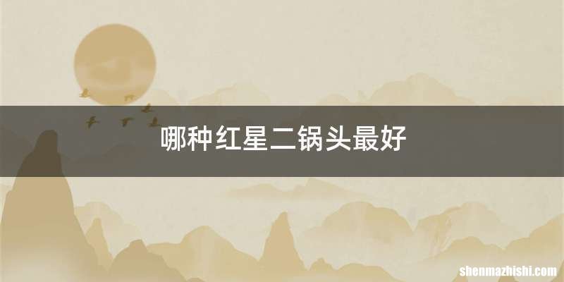 哪种红星二锅头最好