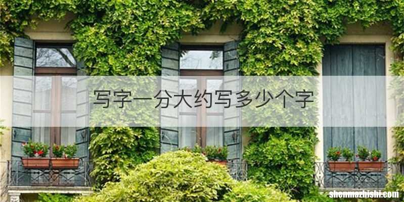 写字一分大约写多少个字