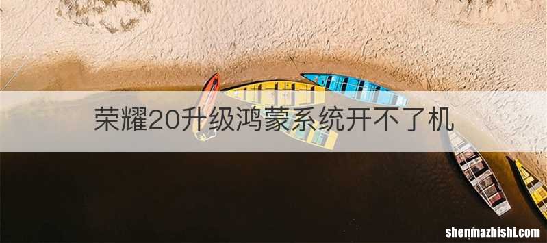荣耀20升级鸿蒙系统开不了机