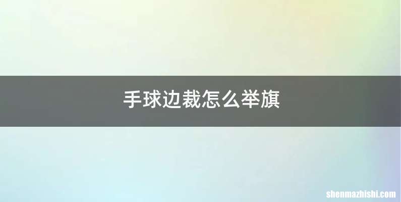 手球边裁怎么举旗