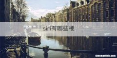siri有哪些梗