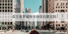 卖王者荣耀账号微信也要买吗