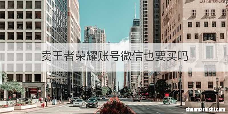 卖王者荣耀账号微信也要买吗