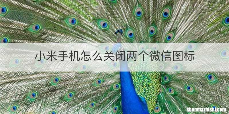 小米手机怎么关闭两个微信图标