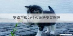 安卓平板为什么无法安装微信
