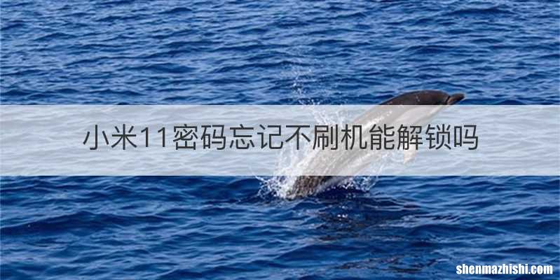 小米11密码忘记不刷机能解锁吗
