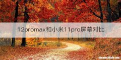 12promax和小米11pro屏幕对比