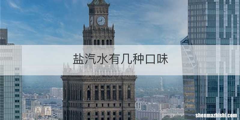 盐汽水有几种口味