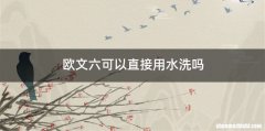 欧文六可以直接用水洗吗