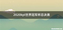 2020kpl世界冠军杯总决赛