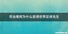 乔治维阿为什么获得世界足球先生