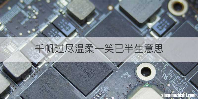 千帆过尽温柔一笑已半生意思