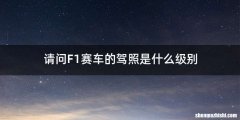 请问F1赛车的驾照是什么级别