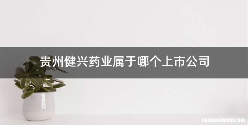 贵州健兴药业属于哪个上市公司