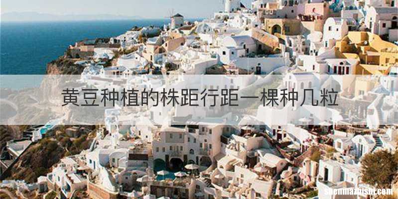 黄豆种植的株距行距一棵种几粒