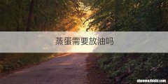 蒸蛋需要放油吗