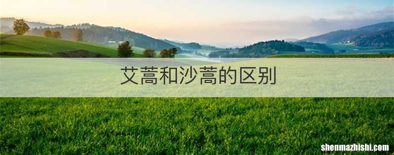 艾蒿和沙蒿的区别