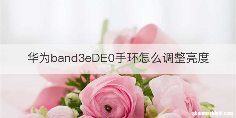 华为band3eDE0手环怎么调整亮度