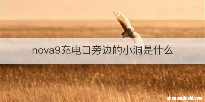 nova9充电口旁边的小洞是什么