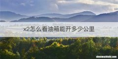 x2怎么看油箱能开多少公里