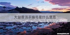 大益普洱茶编号是什么意思
