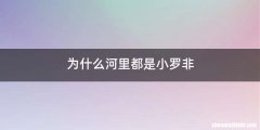 为什么河里都是小罗非