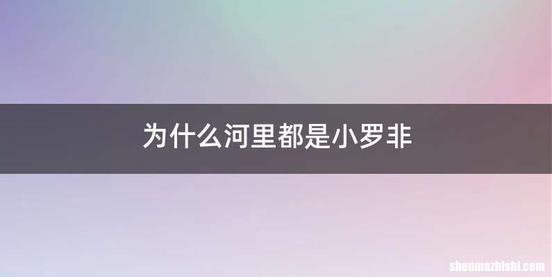 为什么河里都是小罗非