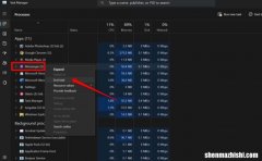 如何修复Facebook Messenger在Windows11上无法运行的问题？