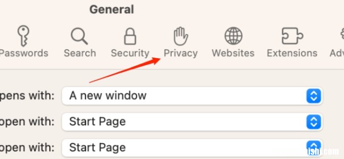 如何修复WhatsApp Web在Mac上的Safari中无法运行的问题？