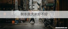秋水良大米好不好
