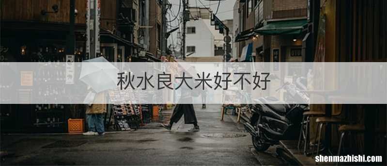 秋水良大米好不好